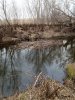 IMG_20231106_134359_855@1392447511.jpg