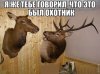 getImage (12).jpg