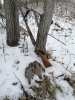 IMG_20231126_131657.jpg