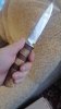 IMG-20231128-WA0092.jpeg