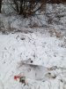 IMG_20231202_111247_175@2090176048.jpg