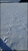 71716BB8-5EF4-45C6-8E65-E7F29AF05712.png