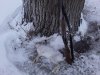 20240105_152554.jpg