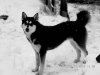 IMG-20240108-WA0038.jpg
