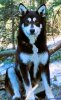 IMG-20240108-WA0039.jpg