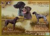 IMG-20240119-WA0032.jpg