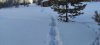 IMG-20240227-WA0004.jpg