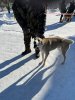 IMG-20240302-WA0091.jpg
