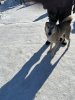 IMG-20240302-WA0092.jpg