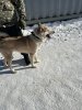 IMG-20240302-WA0093.jpg