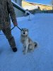 IMG-20240302-WA0087.jpg