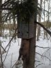 IMG_20240313_084600_448.jpg