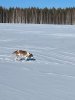 IMG-20240224-WA0026.jpg