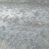 20240406_071716.jpg