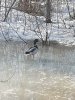 IMG_20240405_173956.jpg
