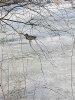 IMG_20240405_174047.jpg