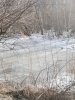 IMG_20240405_174052.jpg
