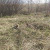 20240416_092551.jpg