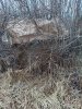 IMG_20240415_194312_739.jpg