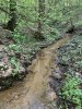 IMG_5998.jpeg