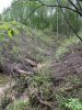 IMG_6003.jpeg
