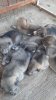 WhatsApp Bild 2024-05-24 um 13.07.54_27493dc6.jpg