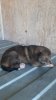 WhatsApp Bild 2024-05-24 um 13.01.17_0ffd2b60.jpg