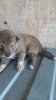 WhatsApp Bild 2024-05-24 um 13.02.14_7f0dc211.jpg