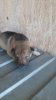 WhatsApp Bild 2024-05-24 um 13.03.20_a9bc8a05.jpg