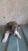 WhatsApp Bild 2024-05-24 um 13.05.05_d6e97f96.jpg