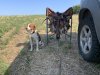 IMG_1462.jpeg