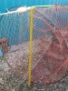 20240617_201056.jpg