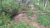 IMG_20200722_145830.jpg