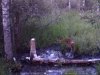 PTDC0400.JPG