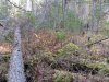 IMG_20241006_124213.jpg