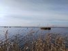 IMG_20241006_103138.jpg