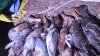 IMG-20241005-WA0149.jpeg