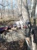 IMG_20241013_100953_639.jpg
