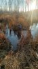 IMG-20241015-WA0006.jpg