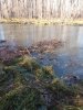 IMG_20241018_131736.jpg