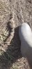 IMG-20241018-WA0014.jpg
