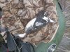 IMG_20241025_103955.jpg