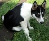 DSC03471.JPG