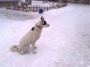 25.12.14. 11мес..jpg