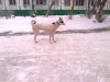25.12.14. 11месяцев..jpg