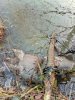 IMG_20241126_092118.jpg