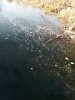 IMG_20241128_121306_527@1938741340.jpg