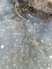 IMG_20241128_121116_993@492920658.jpg