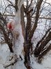 IMG_20241224_132915_689@-995188864.jpg