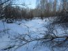 IMG_1045.JPG